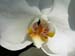 DSCN1030